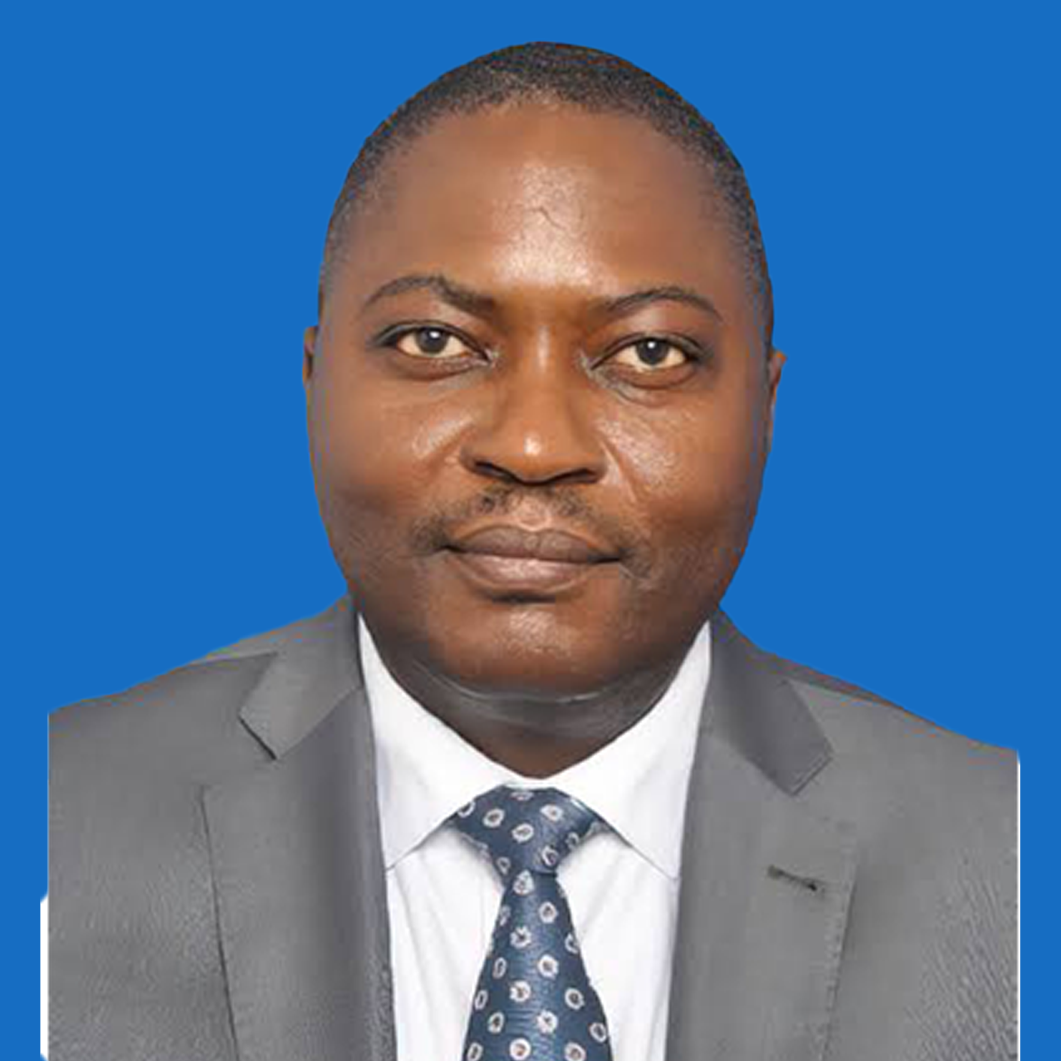 Adelardus L. Kilangi photo