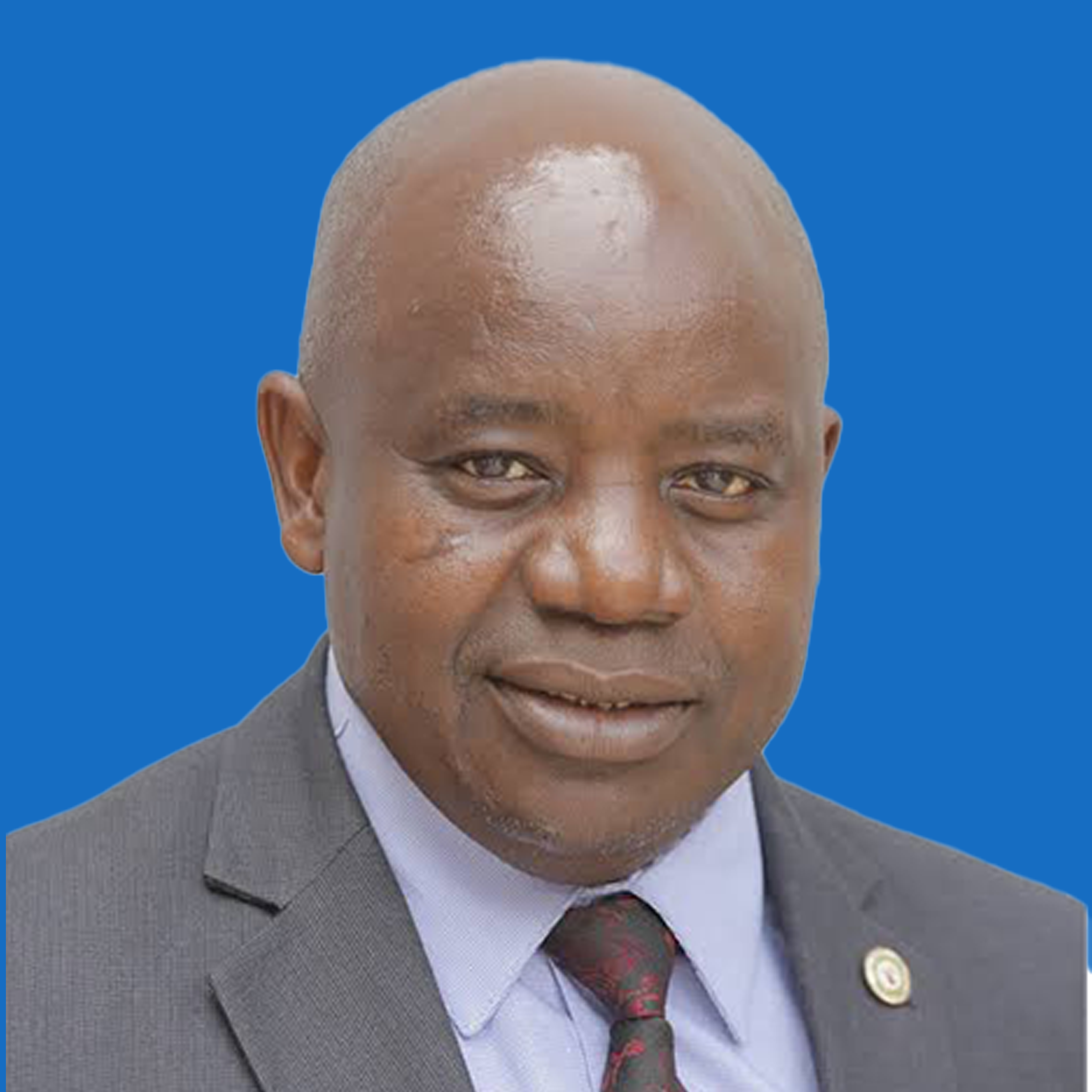 Eliezer M. Feleshi photo